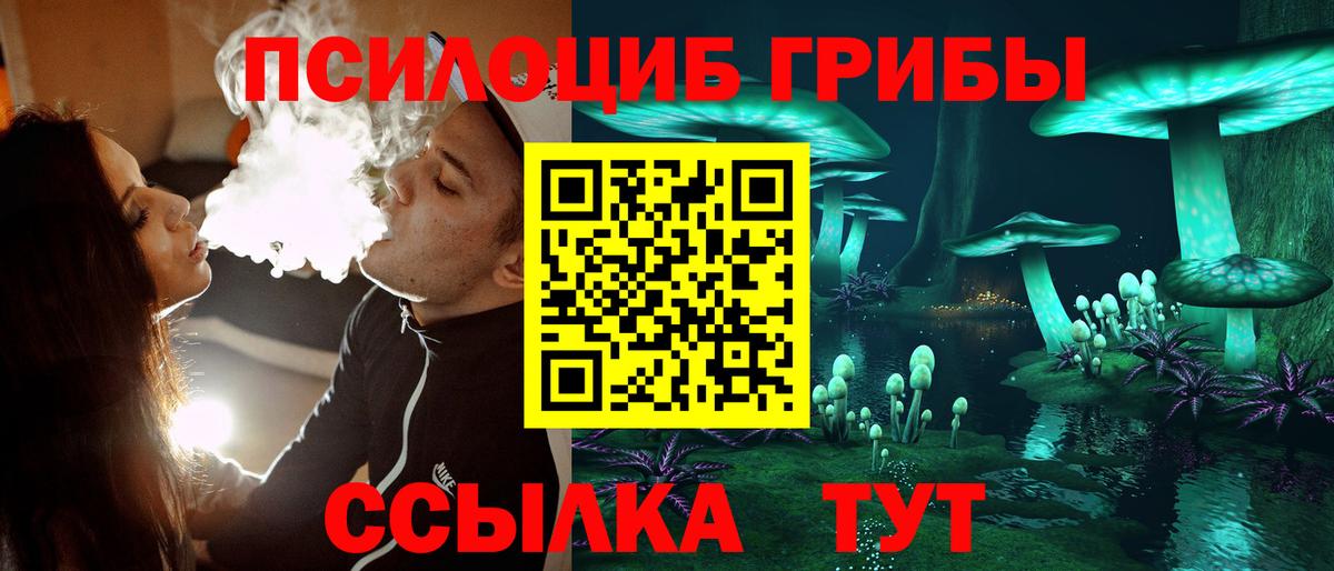 закладки  Псилоцибиновые грибы мухоморы  Галлюциногенные грибы Psilocybe  Вход с VPN  Менделеевск 