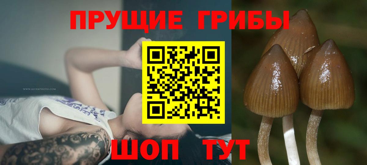 Галлюциногенные грибы MAGIC MUSHROOMS Менделеевск